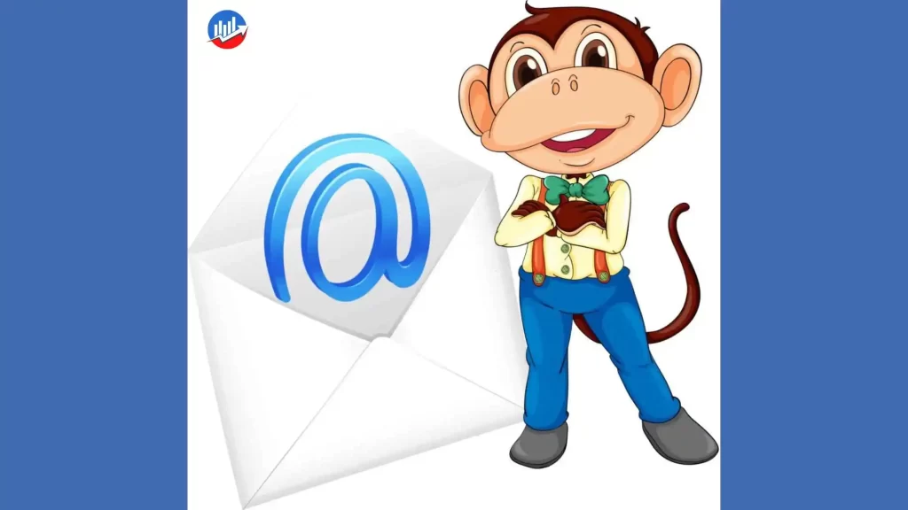 mailchimp newsletter