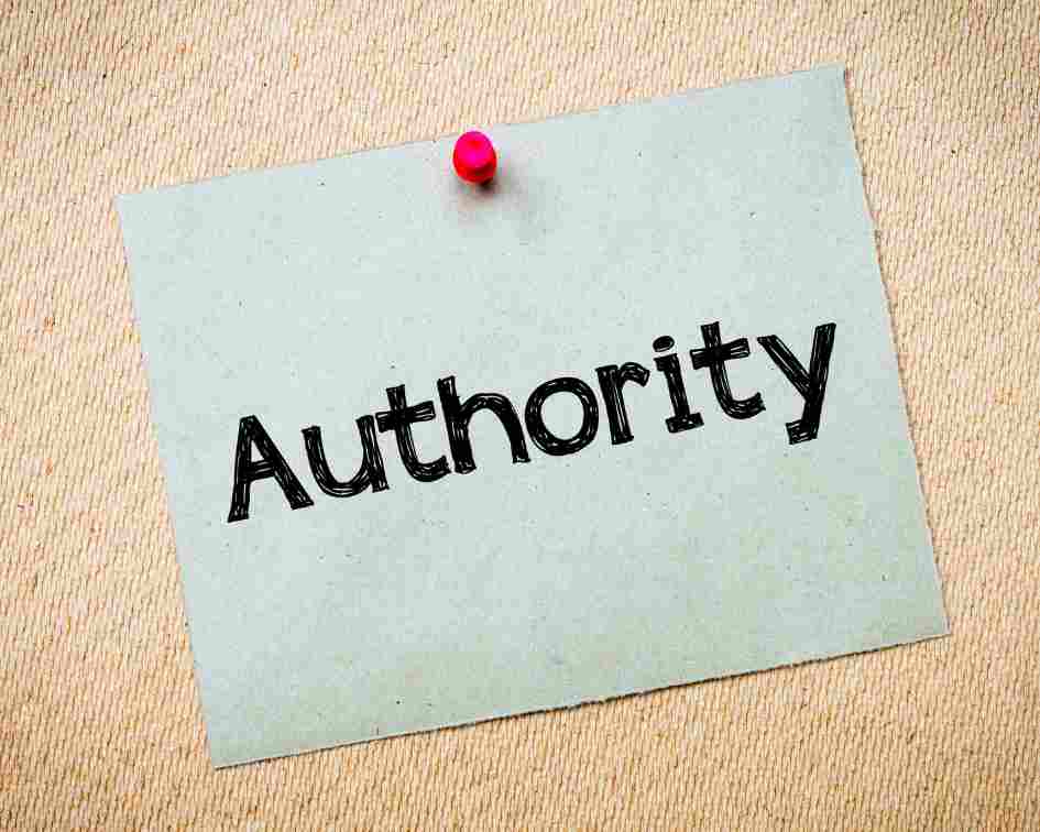 How To Become An Authority In Your Blog Niche